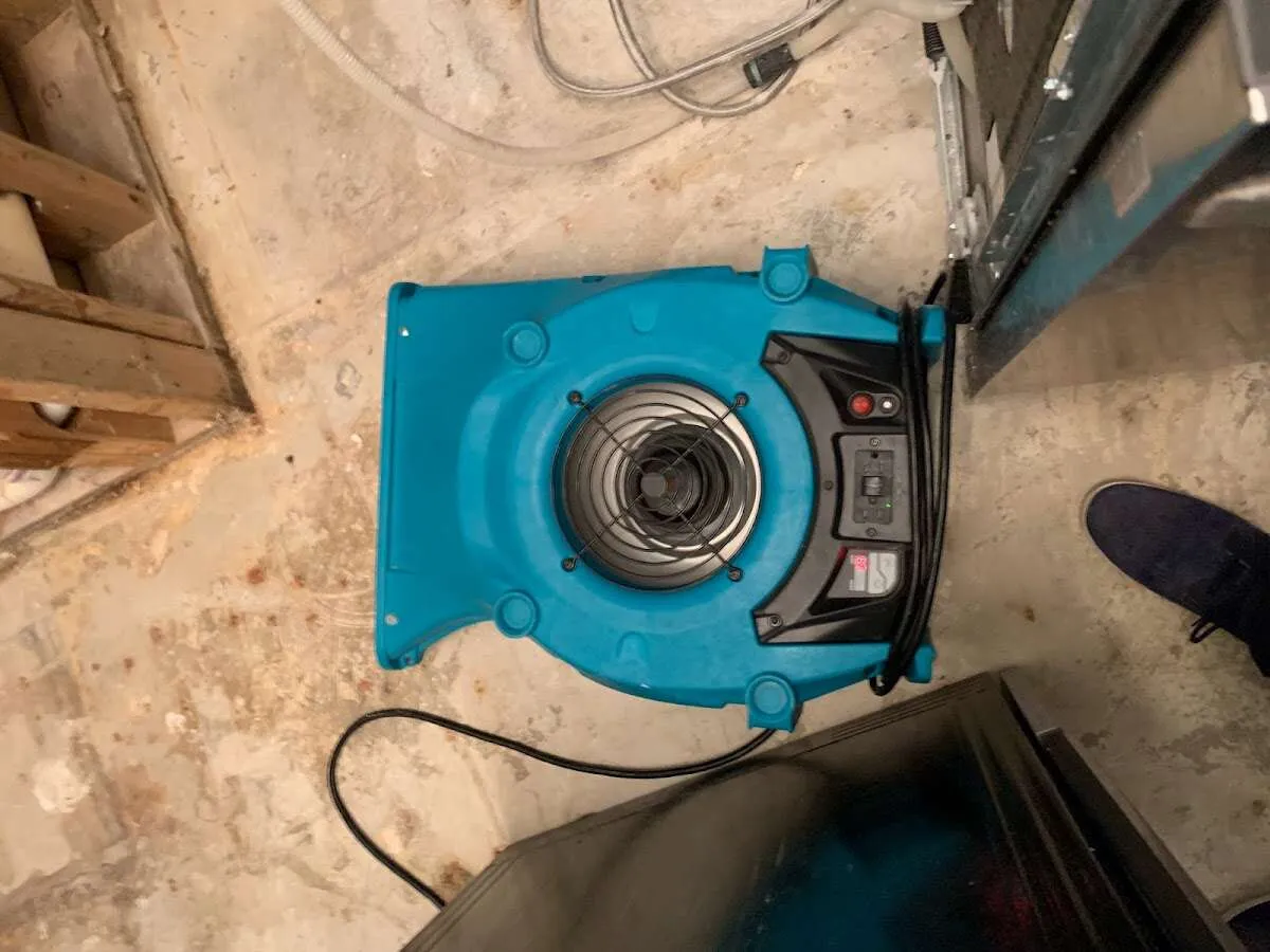 Air mover drying equipment for Mold Remediation & Removal in Tulare